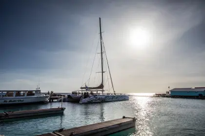 /book-tours/Blue-Finn/Blue-Finn-Sunset-Sail-2.jpg